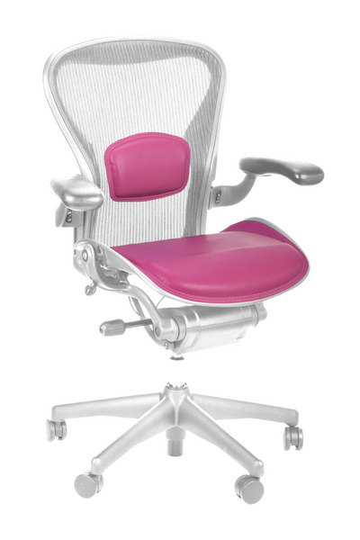 Uccello Saddle Set