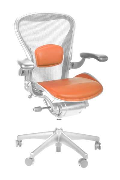 Uccello Saddle Set